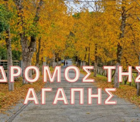 Αναπάντητα ερωτήματα για τον Δήμαρχο Γορτυνίας
