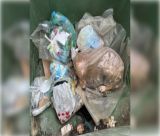 Μεγαλόπολη | Βρήκαν σκύλο ζωντανό μέσα σε τσουβάλι πεταμένο σε κάδο σκουπιδιών (vd)