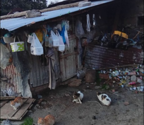 Αγγελής Πετρόπουλος: "Αυτό είναι το «σπίτι» συνανθρώπου μας στη Γορτυνία - Είναι ντροπή, αυτός ο χώρος δεν θα ήταν ανεκτός ούτε για ζώα"