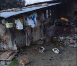 Αγγελής Πετρόπουλος: "Αυτό είναι το «σπίτι» συνανθρώπου μας στη Γορτυνία - Είναι ντροπή, αυτός ο χώρος δεν θα ήταν ανεκτός ούτε για ζώα"