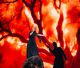 Το βράδυ ο μεγάλος τελικός της Eurovision - Η Ελλάδα εκπροσωπείται από την Klavdia με το τραγούδι «Αστερομάτα»!