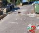 Αλέξιος Θωμάς για Μοναστηράκι Γορτυνίας: "Σκουπίδια στο δρόμο, γάτες τρώνε τα αποφάγια" (vd)