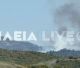 Μεγάλη πυρκαγιά στην Αρχαία Ολυμπία (vd)