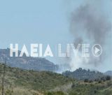 Μεγάλη πυρκαγιά στην Αρχαία Ολυμπία (vd)