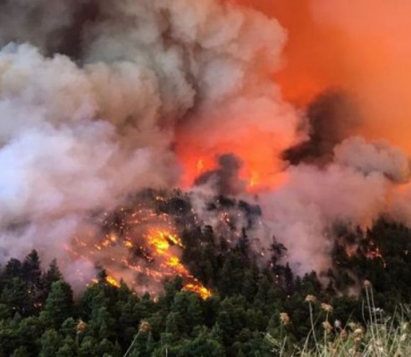 Πολύ υψηλός κίνδυνος πυρκαγιάς την Πέμπτη (3/7/2025) στη Γορτυνία!