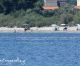 Στην ακτογραμμή από τις «Πόρτες» ως το λιμάνι Παραλίου Άστρους (vd)