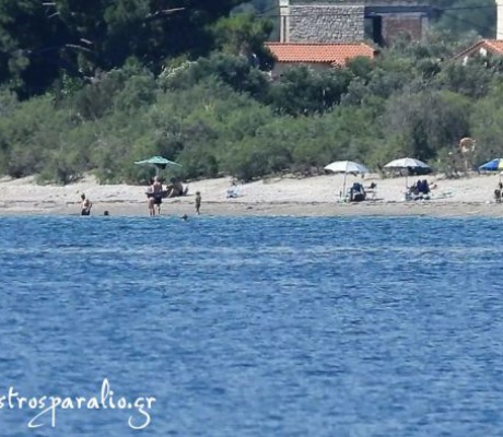 Στην ακτογραμμή από τις «Πόρτες» ως το λιμάνι Παραλίου Άστρους (vd)