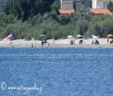 Στην ακτογραμμή από τις «Πόρτες» ως το λιμάνι Παραλίου Άστρους (vd)