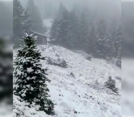 Εκπληκτικό βίντεο από το χιονισμένο Μαίναλο! (vd)