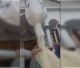 Γάμος στο Λεωνίδιο έγινε… viral - Το βίντεο με γερανό που «έλουσε» τους νεόνυμφους με τόνους ρυζιού!
