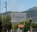 Πυρκαγιά ξέσπασε στη Βελιγοστή Μεγαλόπολης