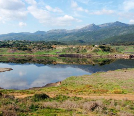 Απόφαση για αποψίλωση βλάστησης στην περιοχή νότια της λίμνης Κυπαρισσίων στη Μεγαλόπολη