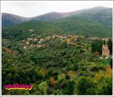 Γιορτάζει η εκκλησία της Αγίας Σοφίας στην Κυνουρία