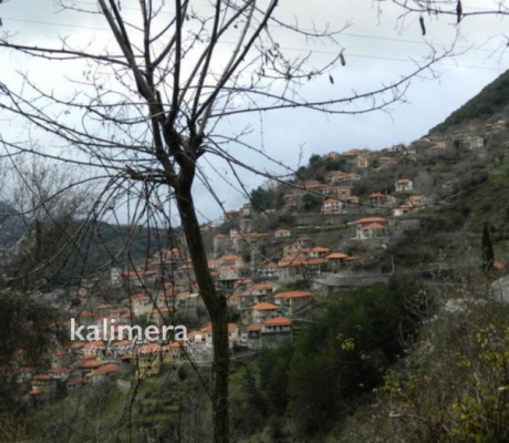 Χριστούγεννα 2025 | Πληρότητα από 90 έως 100% σε Βυτίνα, Δημητσάνα, Στεμνίτσα, Λαγκάδια!