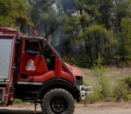 Πρόεδρος Ένωσης Αξιωματικών Πυροσβεστικού Σώματος: "Από ανθρώπινο χέρι 9 στις 10 πυρκαγιές"