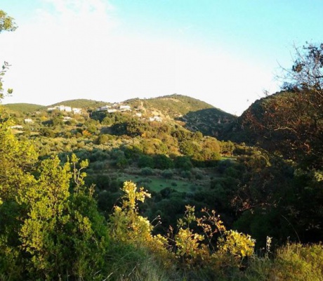 Παραιτήθηκε ο Πρόεδρος της Δημοτικής Κοινότητας Οχθίων Γορτυνίας
