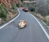 Πτώση βράχων στην είσοδο του χωριού Στόλος Κυνουρίας