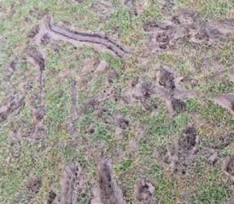 "Βούρκος" ο αγωνιστικός χώρος στο γήπεδο του Παναρκαδικού καταγγέλλει γυναικεία ομάδα από το Ρέθυμνο! (vd)