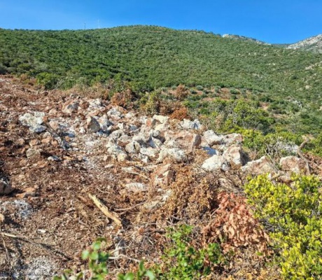 "Ω, Δασαρχείο Κυνουρίας! Πού είσαι και με ποιόν;"