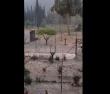 Ισχυρή χαλαζόπτωση στην Τεγέα! (vd)