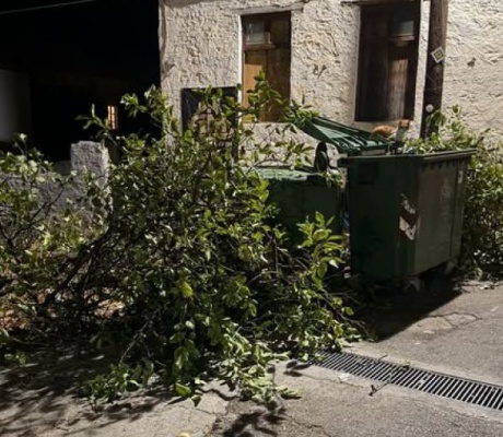 Δήμος Νότιας Κυνουρίας: "Τα κλαδιά πεταμένα δίπλα στον κάδο μπλοκάρουν τον δρόμο" (vd)