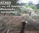 Γορτυνία | Καθαρισμός οικοπέδων - παράταση της προθεσμίας έως τις 15 Ιουνίου
