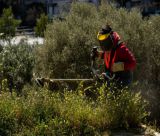 Λήγει τη Δευτέρα 22 Ιουνίου η προθεσμία για τον καθαρισμό οικοπέδων – Από την Τρίτη ξεκινούν οι έλεγχοι και τα πρόστιμα!