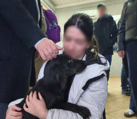 Μαθητές του 3ου Γυμνασίου Τρίπολης στο Δημοτικό Καταφύγιο Ζώων! (εικόνες)