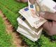 Αγροτικός Κτηνοτροφικός Συνεταιρισμός Αρκαδίας | Ζητά υποχρεωτική «Έγγραφη Συμφωνία» για την Ενιαία Αίτηση Ενίσχυσης