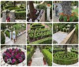 Εσπερινός για τη γιορτή της Αγίας Σοφίας στο εξωκλήσι του Αγίου Ιωάννου Θεολόγου (Ψηλονόμου)