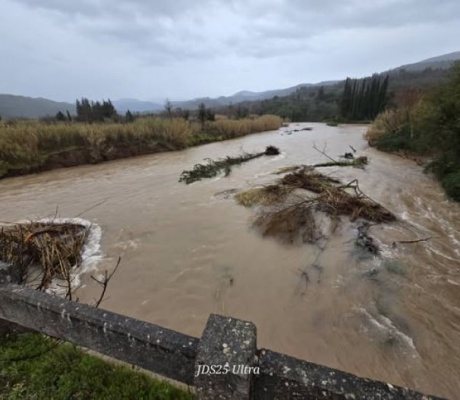 Κίνδυνος για τη γέφυρα στο Τουμπίτσι από τα ξεριζωμένα δέντρα που δεν μπορούν να απομακρυνθούν (εικόνες)