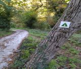 Δίκτυο μονοπατιών Βόρειας Κυνουρίας | Παρουσίαση της κυκλικής διαδρομής στην Κοινότητα Καστάνιτσας