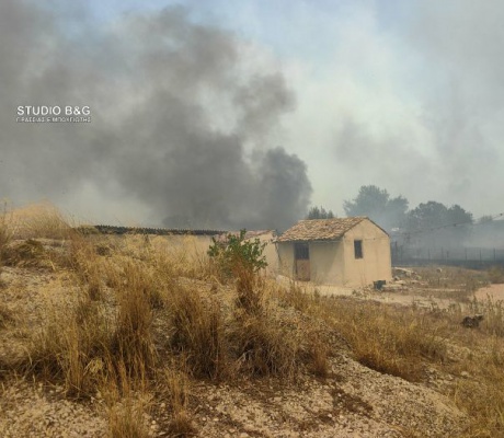 Έντονος καπνός στον Άγιο Πέτρο από τη φωτιά στην Αργολίδα