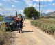 Υπό έλεγχο η φωτιά στο χωριό Άγιος Βασίλειος, κοντά στην Τρίπολη