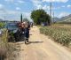 Υπό έλεγχο η φωτιά στο χωριό Άγιος Βασίλειος, κοντά στην Τρίπολη
