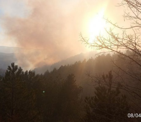 Πυρκαγιά ανάμεσα σε Άγιο Πέτρο και Καρυές (εικόνες)