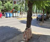 Ο Δήμος Τρίπολης προχωρά σε πρόταση για την ανάπλαση της οδού Καλαβρύτων!