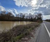 Γορτυνία | Ο Λάδωνας έχει φτάσει στα χωράφια και δίπλα στον κεντρικό δρόμο Τουμπιτσίου! (vd)