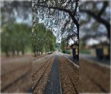 "Σιδηρόδρομος Πελοποννήσου: Όχι στην κατάργηση – Ναι στην αναβίωση"