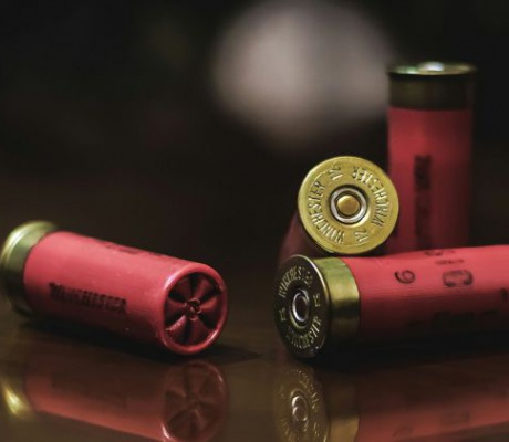 Έρευνα της Metron Analysis | 1 στους 4 Έλληνες θέλει όπλο στο σπίτι