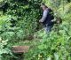Menalon Trail | Καθαρισμός στο τμήμα Δημητσάνα έως Παλαιοχώρι στο φαράγγι του Λούσιου (εικόνες)