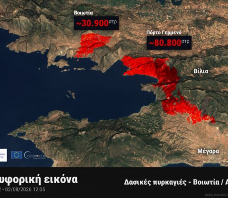 Δασικές πυρκαγιές σε Βοιωτία και Αττική | Περισσότερα από 111.000 στρέμματα καμένα