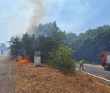 Μεγαλόπολη | Σβήστηκε άμεσα η φωτιά στην Αγία Τριάδα Παραδεισίων (vd)