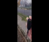 Βρέθηκαν κλειδιά αυτοκινήτου κοντά στην περιοχή του Άλσους Αγίου Γεωργίου