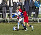 Αστέρας Τρίπολης AKTOR | Πρωτοχρονιάτικο τουρνουά Ακαδημιών: Δράση, χαμόγελα και πολλά γκολ (εικόνες)