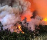 Κίνδυνος πυρκαγιών | Που και πότε θα απαγορεύεονται η κυκλοφορία και οι εκδηλώσεις στην Αρκαδία!