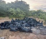 Στα Πελετά Κυνουρίας η μεγάλη χασισοφυτεία που εντόπισε η Αστυνομία - Χιλιάδες δενδρύλλια, ο τζίρος θα έφτανε τα 8.000.000 €!