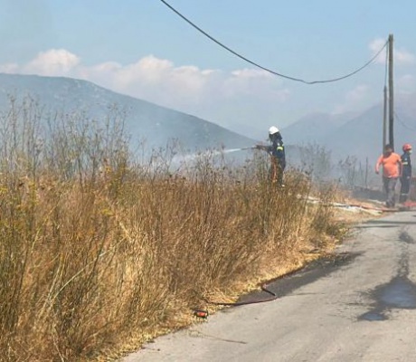 Τρίπολη | Υπό έλεγχο η φωτιά που εκδηλώθηκε στην Περιοχή Αγίου Κωνσταντίνου (εικόνες)