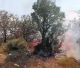 Έσβησε η φωτιά στη Βασκίνα – Κάηκαν περίπου 5 στρέμματα χαμηλής βλάστησης (vd)