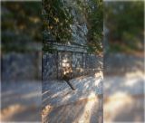 Η πολιτική ξηρασία της Γορτυνίας και η καύση της ελπίδας